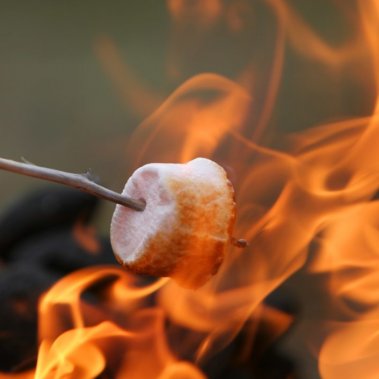 Enjoy roasting marshmallows on your campfire at Yak Ridge Cabins and Farmstead