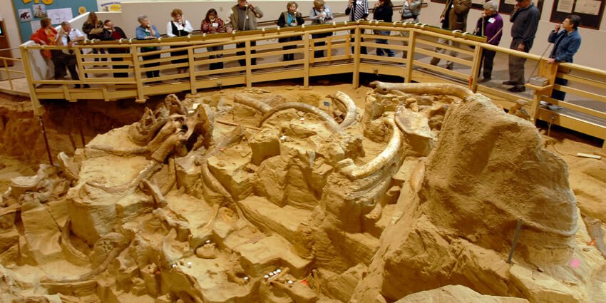 mammoth site