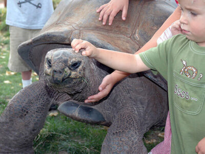 Reptile Gardens has the largest reptile collection in the world and is only 10 minutes from Yak Ridge Cabins and Farmstead