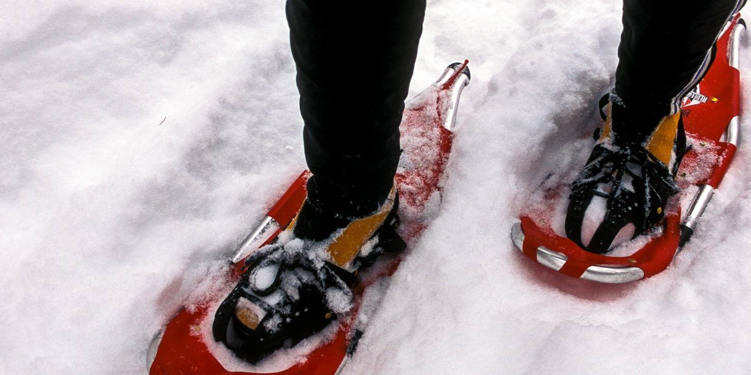 Snowshoeing