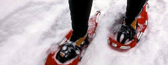 Snowshoeing