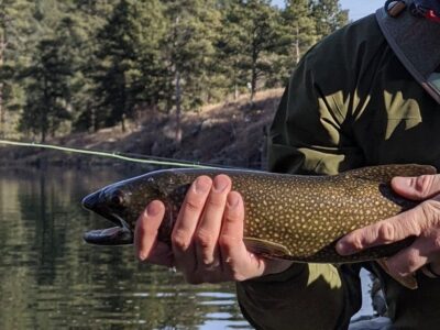 Fisherman holding a brown trout